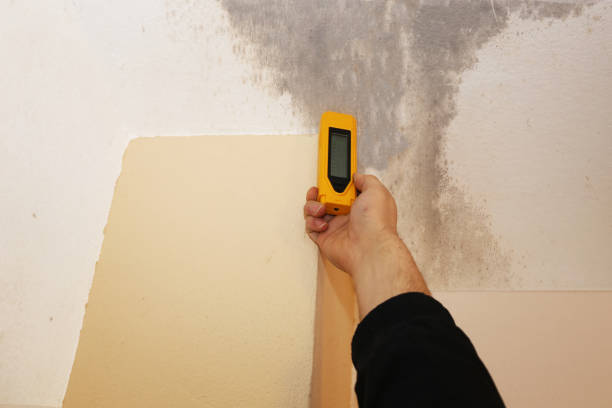 Best Mold Removal for HVAC Installations  in Chaska, MN
