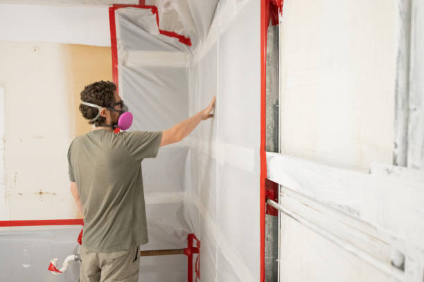 Best Mold Prevention Services  in Chaska, MN