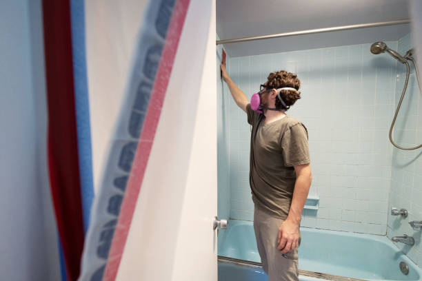 Best Mold Damage Restoration  in Chaska, MN