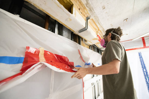 Best Commercial Mold Inspection  in Chaska, MN
