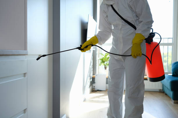 Best Mold Odor Removal Services  in Chaska, MN