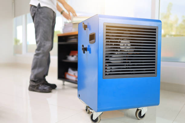 Best Emergency Mold Remediation  in Chaska, MN