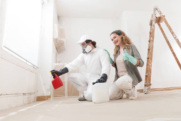 Best Mold Documentation for Insurance Claims  in Chaska, MN