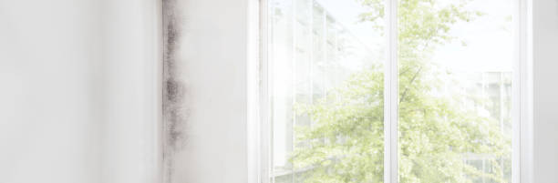 Best Indoor Air Quality Assessment  in Chaska, MN