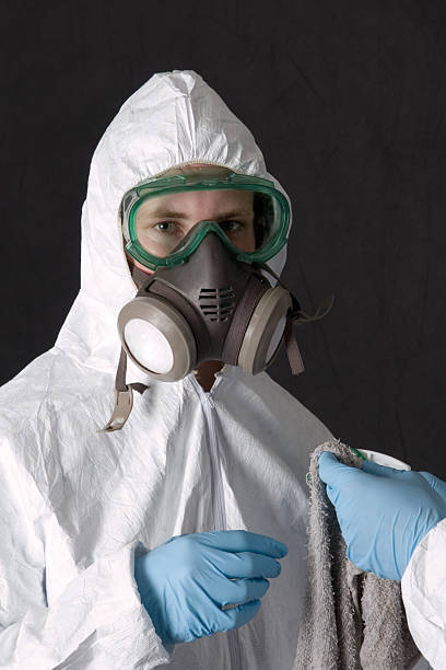 Best Asbestos and Lead Testing During Mold Inspection  in Chaska, MN